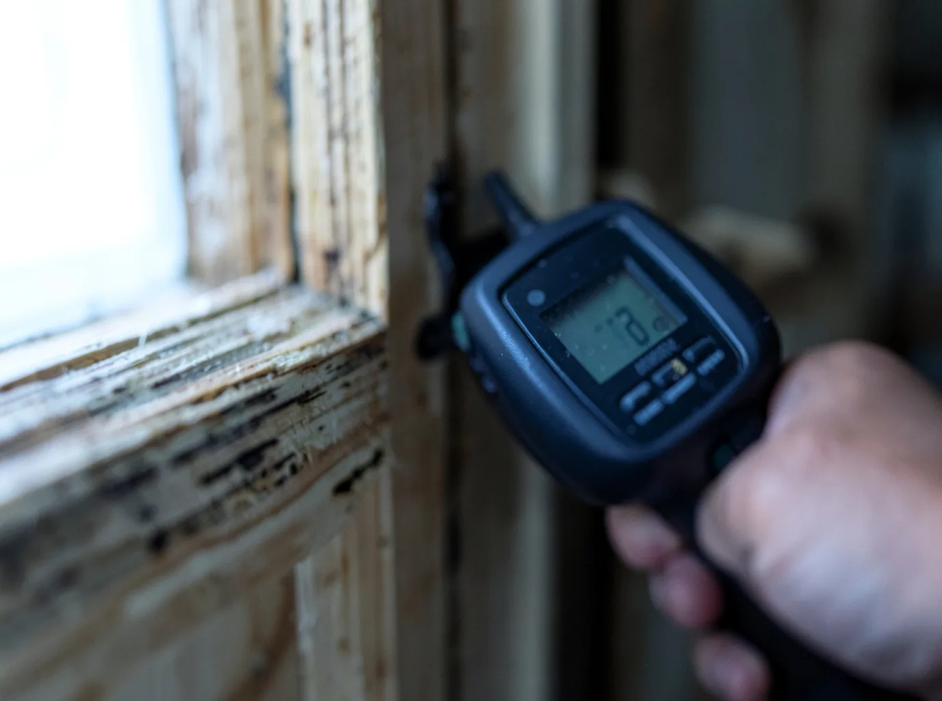Commercial Water Damage Restoration in Oxford Junction, IA